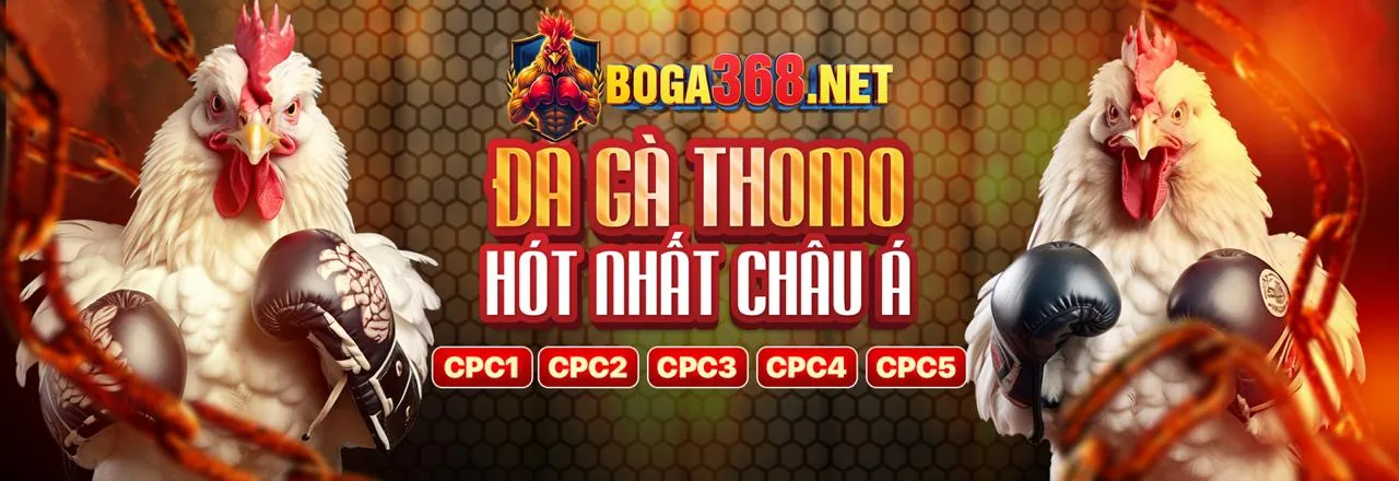 Đá gà trực tiếp 8win